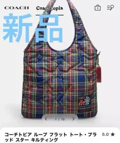 Item thumbnail for item bcb26ea9-051e-4ed7-9627-b75a957716a2