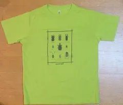 【新品】mont-bell　昆虫Tシャツ150
