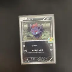 2026年最新】ポケモンカード ゾロア 116/BW-P プロモの人気アイテム
