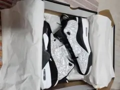 Air Jordan Dub Zero 27cmのサムネイル