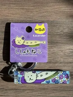 Item thumbnail for item 386da0fd-8c6d-48ff-b9fd-8a7af50f3a60