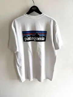 パタゴニア　Tシャツ