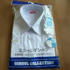 Item thumbnail for item 0724b446-b881-4af0-abdf-cc66a84dd261