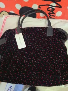 Item thumbnail for item 49f3477e-d082-49f8-b8bc-1353a7d4ca4a