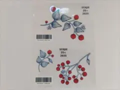 scope アラビア ルノ フロストベリー ステッカー シール スコープ