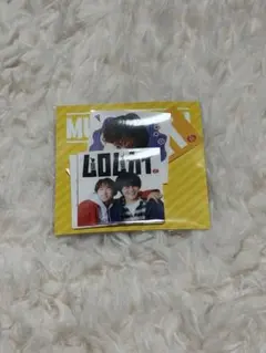 ムロムカイ ステッカー 向井康二 室龍太