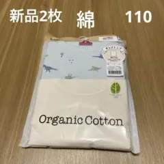 Item thumbnail for item 00a7525b-02e0-4c34-bd76-c9b86e3e29af