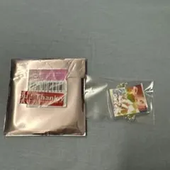 鬼滅の刃 隊士百景 絆アクリルチャーム 禰豆子