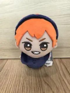 ハイキュー!! ちびぐるみ アニマルポンチョ vol.1 日向翔陽