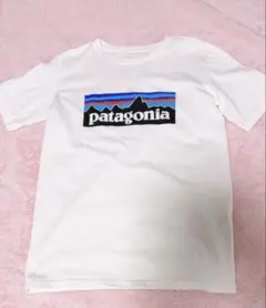 Patagonia Tシャツ ホワイト XL(14)