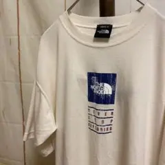 ノースフェイス　ロゴTシャツ　オールド　ヴィンテージ