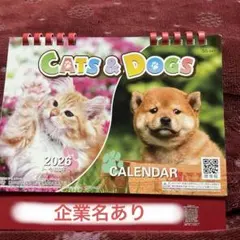 Item thumbnail for item b9dd5cfb-92dd-4e4d-a253-96b320e253f5