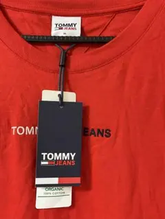 TOMMY JEANS TJM LINEAR LOGO TEE XL