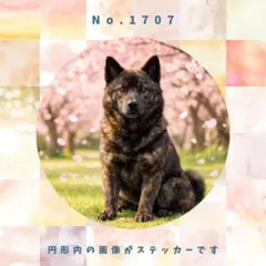 【送料無料】防水ステッカー　No.1707