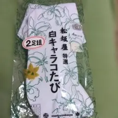 Item thumbnail for item a228ee6d-955c-4e7d-9a7c-f1a46f99f375