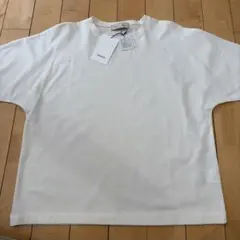 【未使用】ensure×Romhaman Tシャツのサムネイル