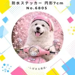 Item thumbnail for item 0e2e9f7b-8dc9-4386-878d-43567650ebb2