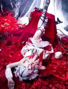 Fate/stay night [HF]黒桜 B1横型タペストリーC98 我美蘭 - メルカリ