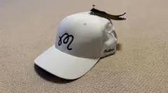 Item thumbnail for item ba3d5559-6b4f-4c7b-a38c-8f6cef604785