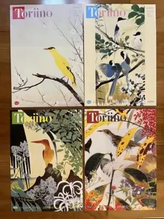 『Toriino』 ビジュアルフリーマガジン 4冊セット