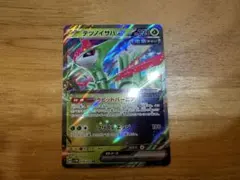 テツノイサハex rr