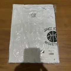 Item thumbnail for item af712263-5749-43a8-8477-316ff839c538