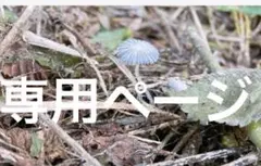 【07】【タマちゃん様専用ページ】オーダーメイド　ハンドメイド　刺繍ブローチ