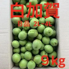 鶯宿 青梅 大中小混合 8kg 無農薬 岡山県産 農家直送 - メルカリ