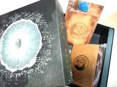 Siip ガイア 完全生産限定盤 未開封品 - メルカリ