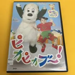 【専用】《新品ケース》いないいないばあっ！　ピカピカブー！　DVD NHK