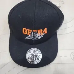 ワンピース　FESTA限定キャップ　　　　　　　　9