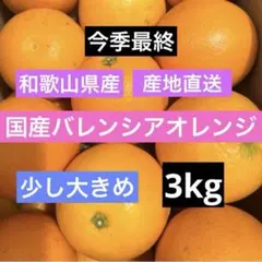 ⟡.今季最終⟡.こだわり国産バレンシアオレンジ*木成完熟*3kgのサムネイル