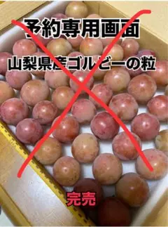 【予約専用画面】山梨県産ゴルビーの粒（限定25kg）