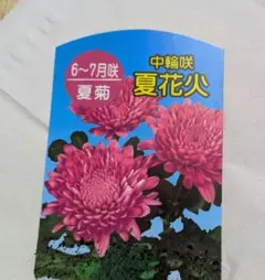 k様 リクエスト 3点 まとめ商品