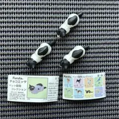チョコエッグ　ペット動物１　■ 日本猫（黒白ぶち）　３個／海洋堂　フルタ　Q