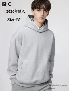 Item thumbnail for item 12d3e7d7-6092-4499-b229-41ffafba27ab