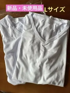 Item thumbnail for item 8c61a3c2-079b-498c-a356-474f23621529