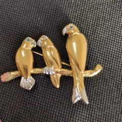 2025年最新】CASCIOの人気アイテム - メルカリ