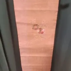 シャンシャン様 リクエスト 3点 まとめ商品