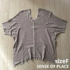 SENSE OF PLACE オーバーサイズＶネック半袖ニット サイズF