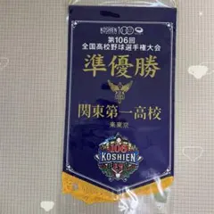 Item thumbnail for item bf49aa01-5d3b-4645-a510-8f0d37981cec