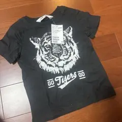 Item thumbnail for item 66b2c33c-70d3-4c60-a5d3-9c1a4dc49f4f