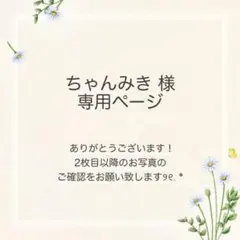 ちゃんみき様 おまとめ2点
