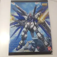 MG ZGMF-X10A フリーダム ガンダム A4クリアファイル 一番くじのサムネイル