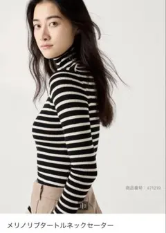 UNIQLO メリノ リブタートルネックセーター 테두리 M