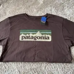 patagonia パッカブル ショルダーバッグ 直営店限定　パタゴニア　好配色 patagonia パッカブル ショルダーバッグ 直営店限定 パタゴニア 好配色