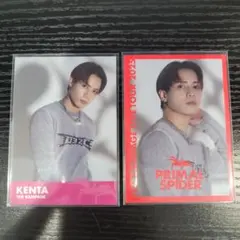 THE RAMPAGE 神谷健太 PRIMAL SPIDER トレカ