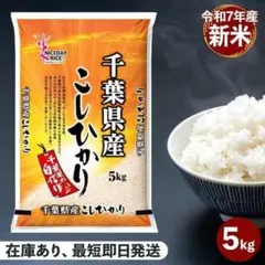 特価【令和7年・送料無料 】千葉県県産 米 コシヒカリ こしひかり10kg