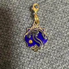 劇団四季 アラジン シークレットチャーム