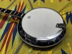 2026年最新】Tokai バンジョーの人気アイテム - メルカリ